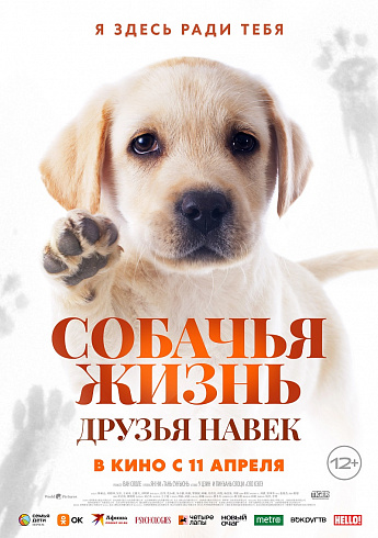 Фото: kinopoisk.ru