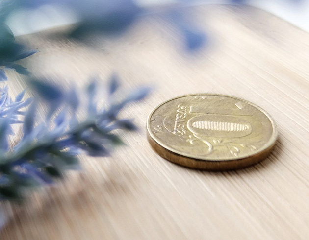 Фото: «Вечерний Барнаул»/Яна Бакланова