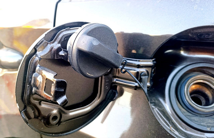 Фото: «Вечерний Барнаул»/Яна Бакланова