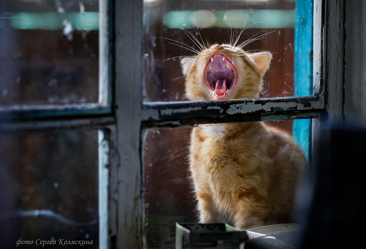 Фото: m.fotostrana.ru