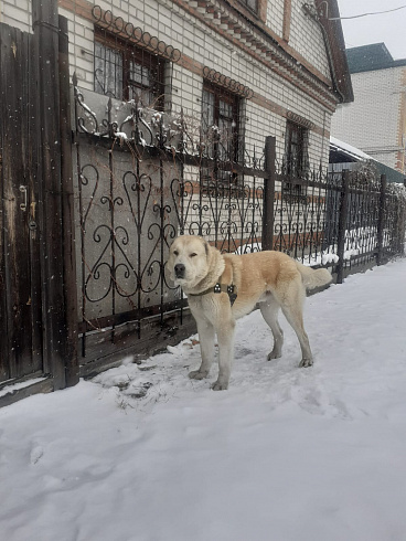 Фото: Яна Гуманец